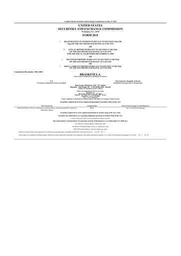 Thumbnail Braskem 20-F Annual Report 2020