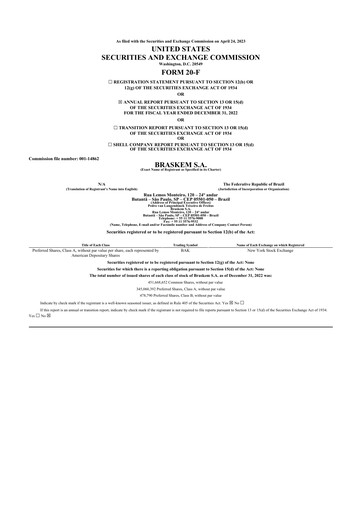 Thumbnail Braskem 20-F Annual Report 2022