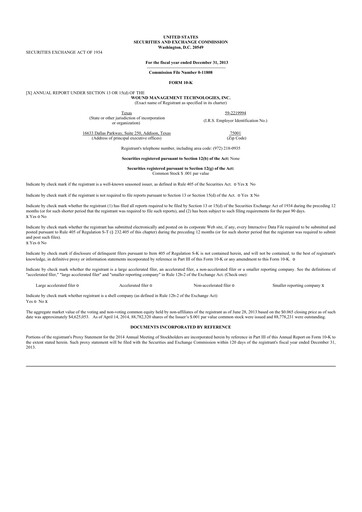 Thumbnail Sanara MedTech 10-K Annual Report 2013