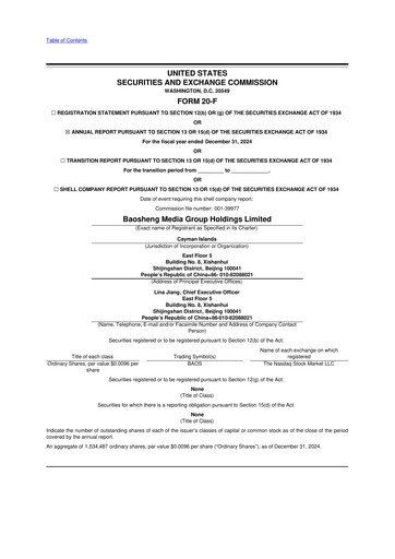 Thumbnail Baosheng Media Group 20-F Annual Report 2024