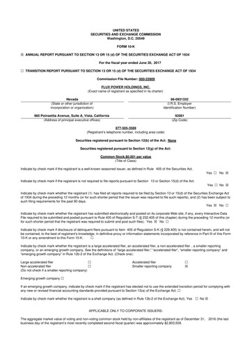 Thumbnail Flux Power 10-K Annual Report 2017