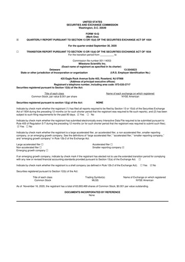 Vorschaubild Milestone Scientific 10-Q Quartalsbericht 2020 