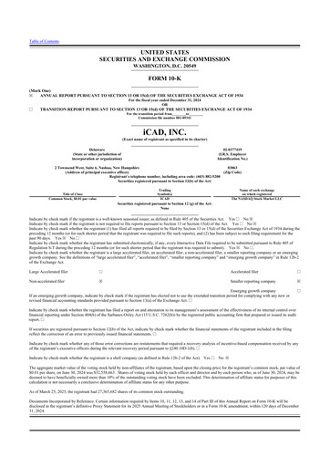 Vorschaubild iCAD 10-K Jahresbericht 2024