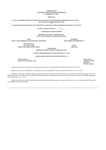 Thumbnail Red Cat Holdings 10-K Annual Report 2013