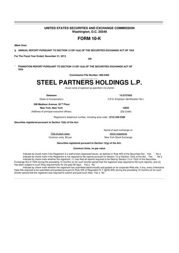 Thumbnail Steel Partners 10-K Annual Report 2013