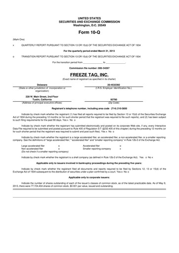 Thumbnail Freeze Tag 10-Q Quarterly Report FY2013 