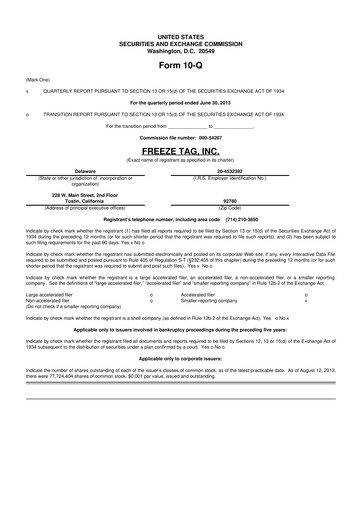 Thumbnail Freeze Tag 10-Q Quarterly Report FY2013 