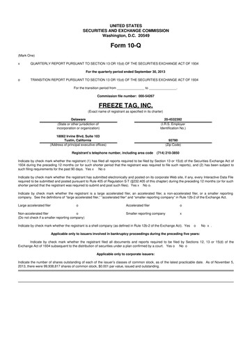 Thumbnail Freeze Tag 10-Q Quarterly Report FY2013 