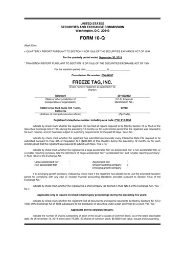 Thumbnail Freeze Tag 10-Q Quarterly Report FY2019 