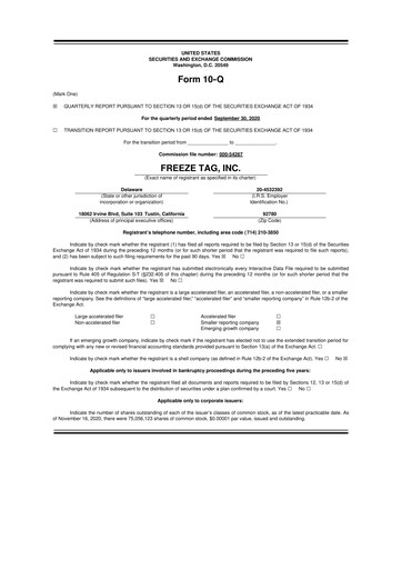 Thumbnail Freeze Tag 10-Q Quarterly Report FY2020 