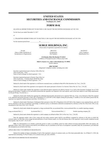 Thumbnail SurgePays 10-K Annual Report 2017