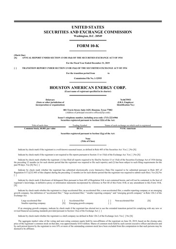 Thumbnail Houston American Energy 10-K Annual Report 2019