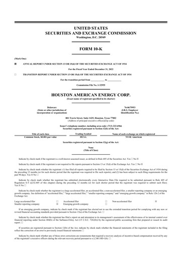 Thumbnail Houston American Energy 10-K Annual Report 2022