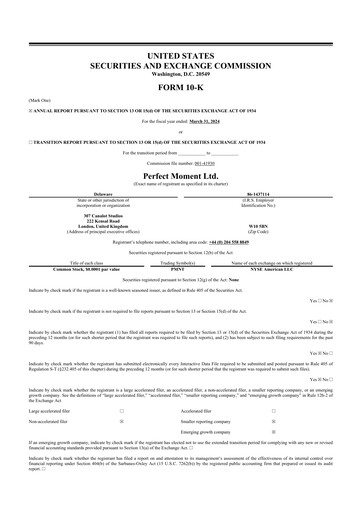 Vorschaubild Perfect Moment 10-K Jahresbericht 2024