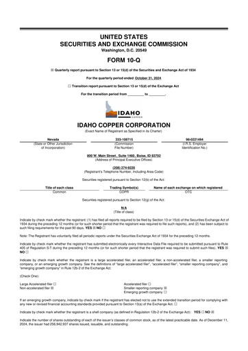 Thumbnail Idaho Copper Corporation 10-Q Quarterly Report FY2025 