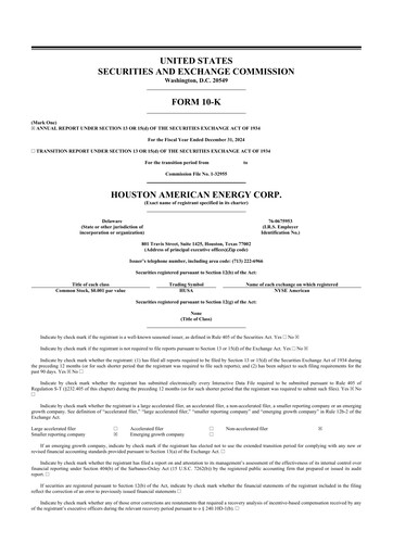 Thumbnail Houston American Energy 10-K Annual Report 2024