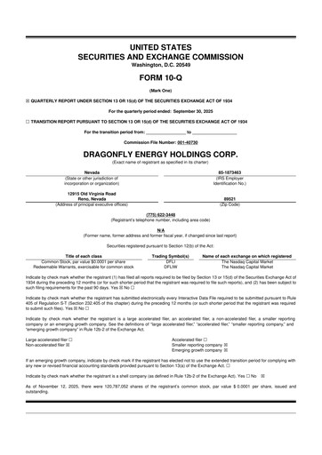 Thumbnail Dragonfly Energy 10-Q Quarterly Report FY2025 