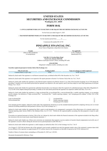 Thumbnail Pineapple Financial 10-K Annual Report 2025