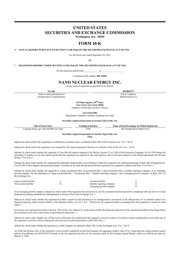 Thumbnail NANO Nuclear Energy 10-K Annual Report 2025