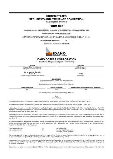 Thumbnail Idaho Copper Corporation 10-K Annual Report 2026