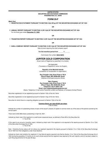 Thumbnail Atlas Critical Minerals 20-F Annual Report 2019