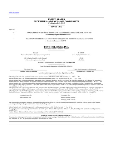 Thumbnail Post Holdings
 10-K Annual Report 2017