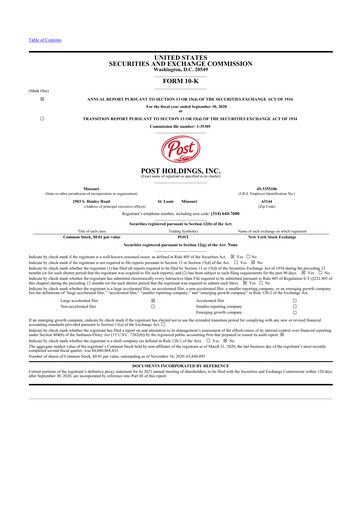 Thumbnail Post Holdings
 10-K Annual Report 2020