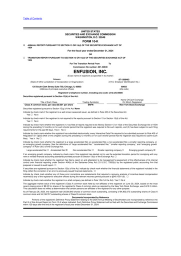 Miniature Enfusion 10-K Rapport annuel 2024