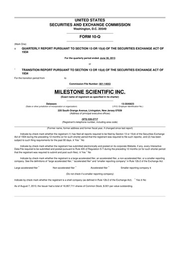 Vorschaubild Milestone Scientific 10-Q Quartalsbericht 2013 