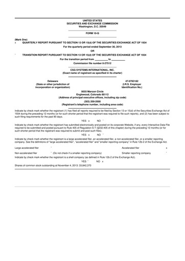 Thumbnail CSG International
 10-Q Quarterly Report FY2013 