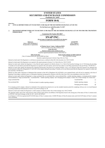 Thumbnail Snap 10-K Annual Report 2017