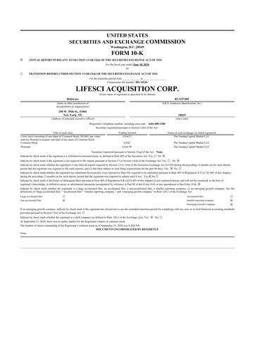 Thumbnail Vincerx Pharma 10-K Annual Report 2020