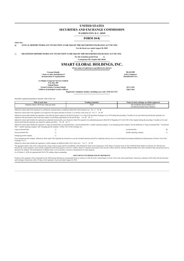 Miniature Penguin Solutions 10-K Rapport annuel 2020