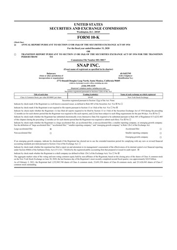 Thumbnail Snap 10-K Annual Report 2020