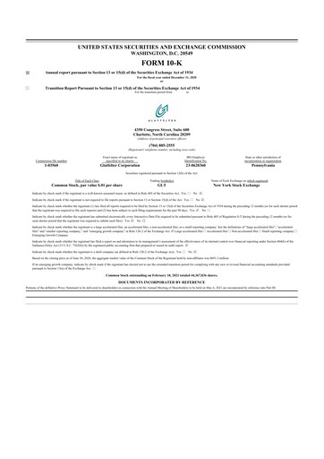 Vorschaubild Magnera 10-K Jahresbericht 2020