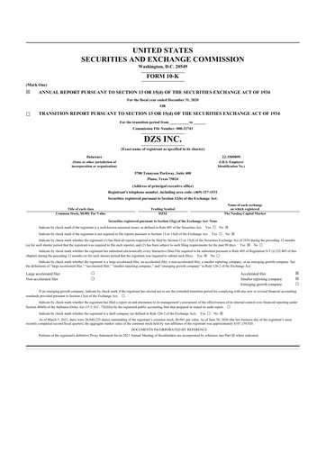 Thumbnail DZS Inc 10-K Annual Report 2020