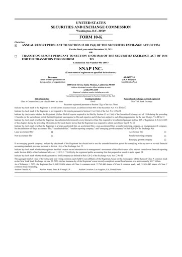 Thumbnail Snap 10-K Annual Report 2021