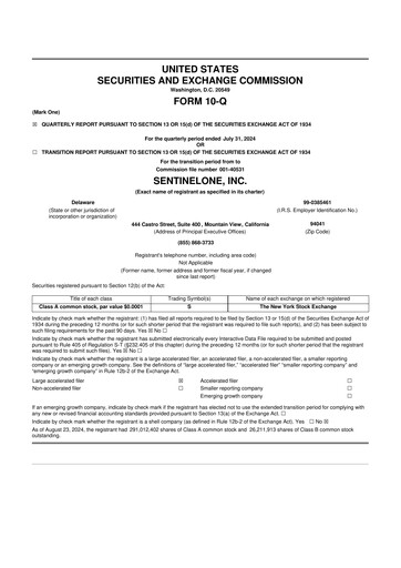Miniature SentinelOne 10-Q Rapport trimestriel 2025 