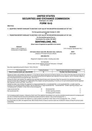 Miniature SentinelOne 10-Q Rapport trimestriel 2025 