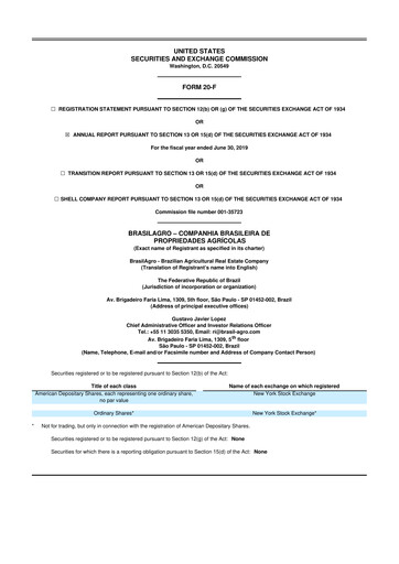 Vorschaubild BrasilAgro 20-F Jahresbericht 2019