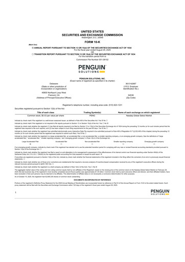 Miniature Penguin Solutions 10-K Rapport annuel 2025