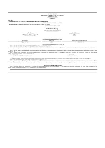 Thumbnail SuRo Capital 10-K Annual Report 