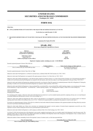 Thumbnail Snail Inc 10-K Annual Report 2024