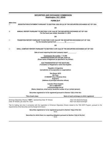 Thumbnail Transportadora de Gas del Sur 20-F Annual Report 