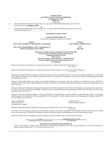 Thumbnail Lakeland Industries
 10-K Annual Report 2019