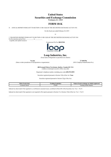 Thumbnail Loop Industries
 10-K Annual Report 2019