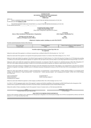 Thumbnail Lakeland Industries
 10-K Annual Report 2020