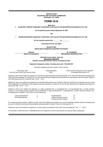 Vorschaubild Celcuity Inc. 10-Q Quartalsbericht 2020 