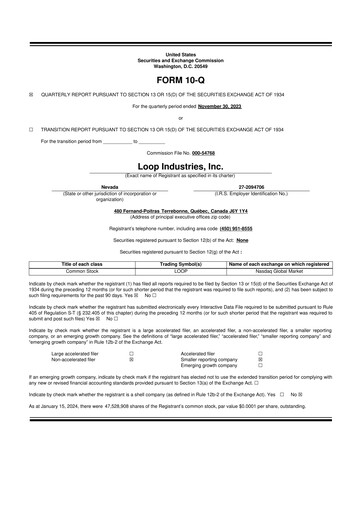 Thumbnail Loop Industries
 10-Q Quarterly Report FY 