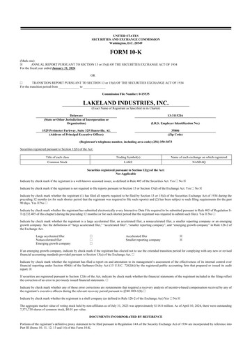 Thumbnail Lakeland Industries
 10-K Annual Report 2024